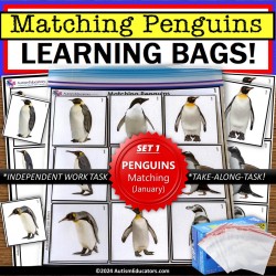 Penguins Matching Real Life Pictures Learning Bag for Special Education